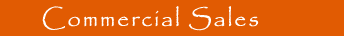 Salsa Trading Commercial Services