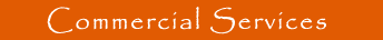 Salsa Trading Company Commercial Services