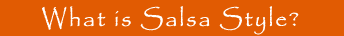 What is Salsa Style